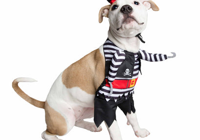 Pet Care: Essential Tips for Keeping Your Furry Friends Happy and Healthy