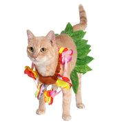 The Psychology of Pet Costumes